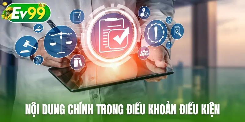 Nội dung chính trong điều khoản điều kiện