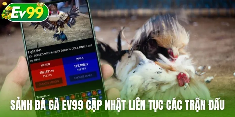 Sảnh đá gà Ev99 cập nhật liên tục các trận đấu nảy lửa